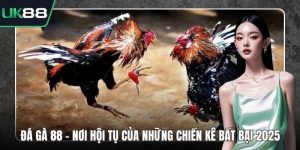 Đá gà 88 - Nơi Hội Tụ Của Những Chiến Kê Bất Bại 2025