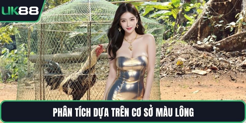Phân tích dựa trên cơ sở màu lông