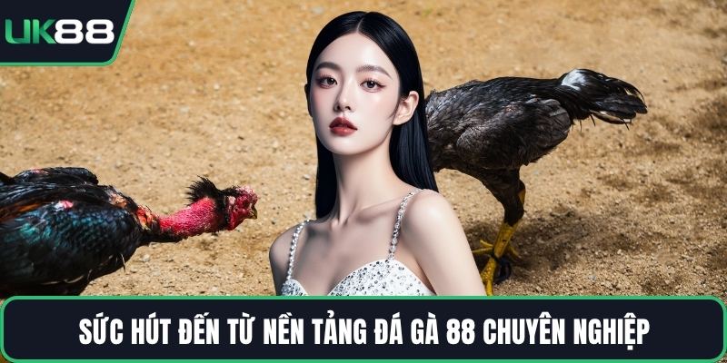 Sức hút đến từ nền tảng đá gà 88 chuyên nghiệp