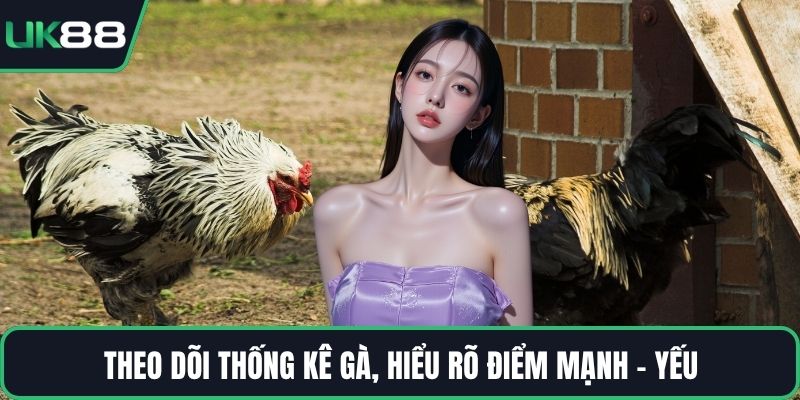 Theo dõi thống kê gà, hiểu rõ điểm mạnh - yếu